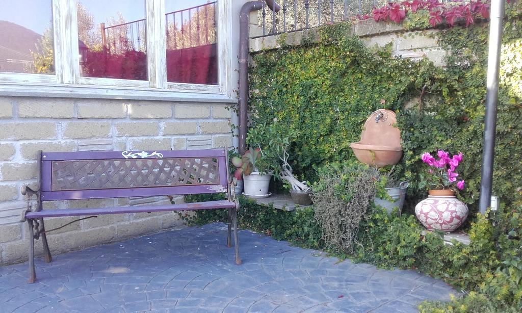 Il Poggio Degli Ulivi Apartamento Trevignano Romano Quarto foto