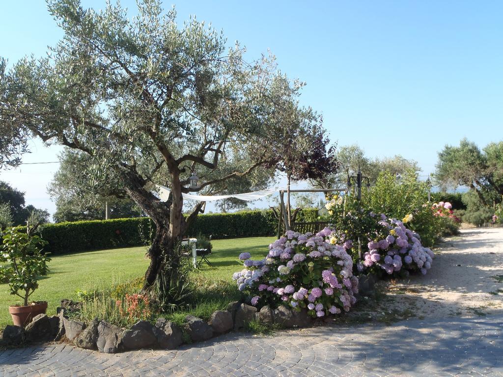 Il Poggio Degli Ulivi Apartamento Trevignano Romano Quarto foto