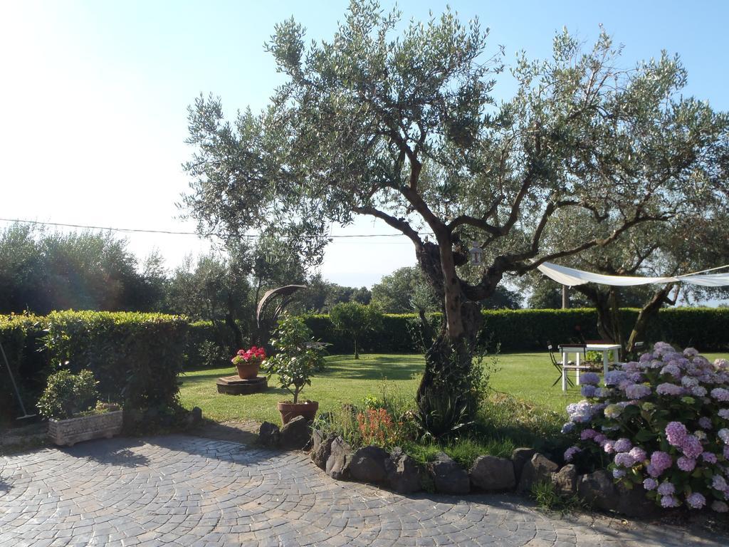 Il Poggio Degli Ulivi Apartamento Trevignano Romano Quarto foto