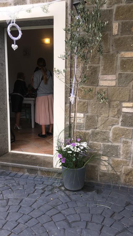 Il Poggio Degli Ulivi Apartamento Trevignano Romano Exterior foto