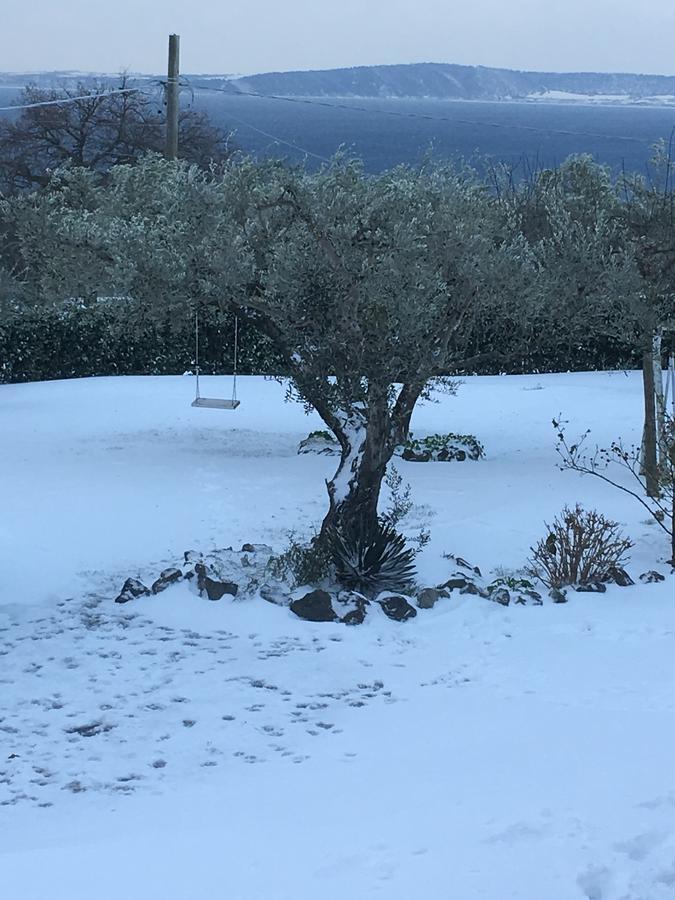 Il Poggio Degli Ulivi Apartamento Trevignano Romano Exterior foto