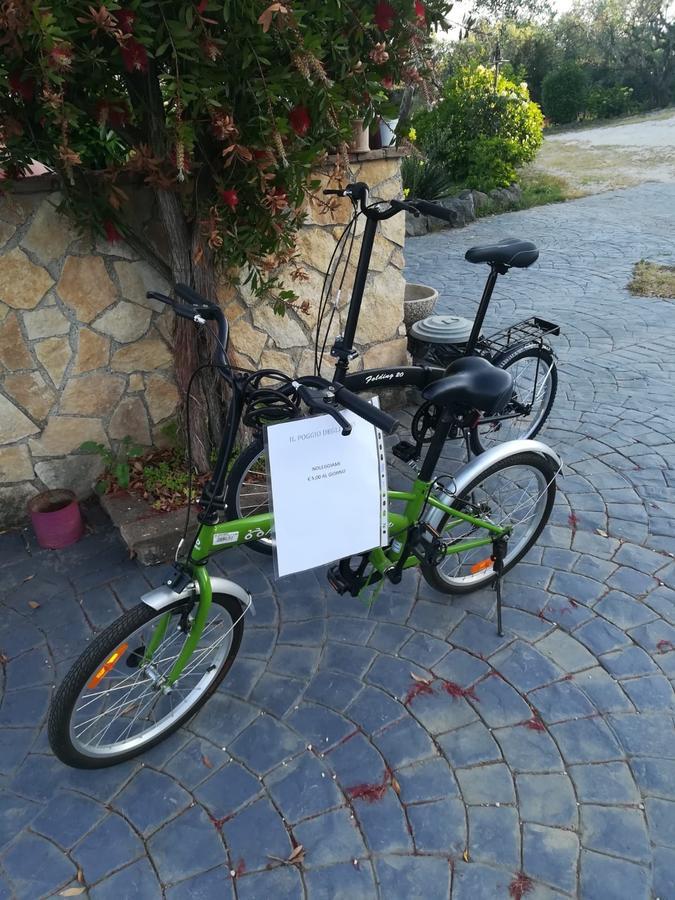 Il Poggio Degli Ulivi Apartamento Trevignano Romano Exterior foto