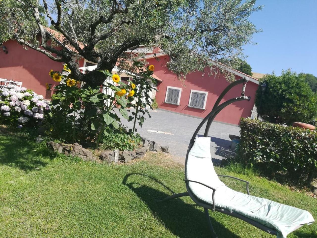 Il Poggio Degli Ulivi Apartamento Trevignano Romano Exterior foto