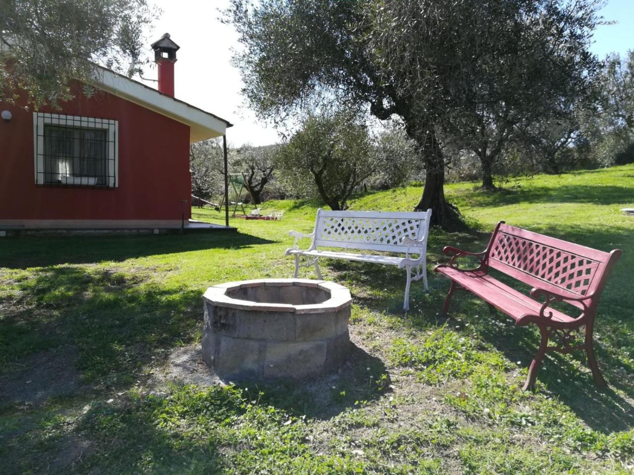 Il Poggio Degli Ulivi Apartamento Trevignano Romano Exterior foto