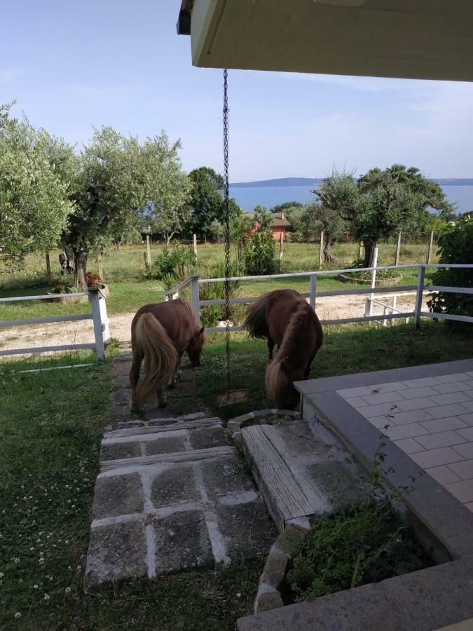 Il Poggio Degli Ulivi Apartamento Trevignano Romano Exterior foto